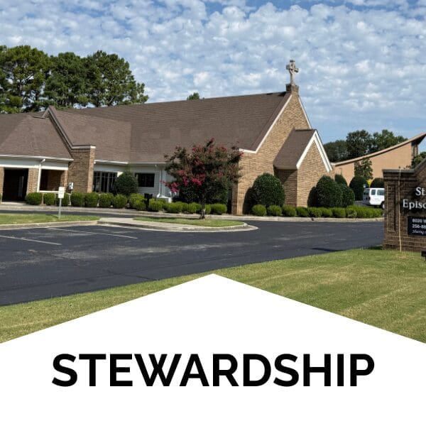 Stewardshipbox